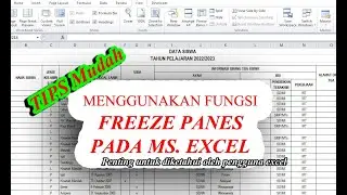 Cara menggunakan fungsi freeze panes di excel