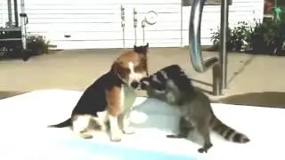 Мое измененное видео