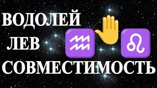Водолей и Лев. Совместимость знаков зодиака Лев и Водолей.