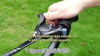 DAYLYRIDE Gray fox 20 inch electric bicycle