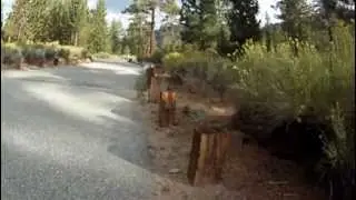 Heart bar camping 3