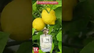 ВЕНЕРА(Venus). Женские духи от Эрсаг
