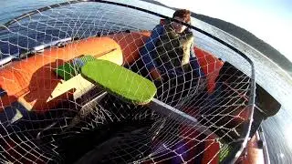 2024 август в шхерах