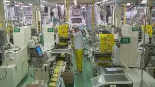 Бережное отношение к окружающей среде – один из ключевых принципов бизнеса «Маревен» в г.о. Серпухов