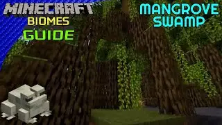 Mangrove Swamp - Minecraft Biomes Guide