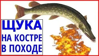 Готовим рыбу на костре. Как готовить рыбу на костре в походе