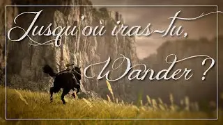 Jusqu'où iras-tu, Wander ? ⚔️ | L'Art de Shadow of the Colossus