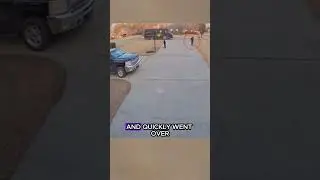 Amazing Delivery Guy💖#shorts #viral #shortsvideo