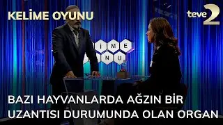 Kelime Oyunu: Bazı hayvanlarda ağzın bir uzantısı durumunda olan organ