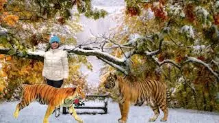 С Днем рождения Османова Тигр 2019