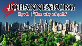 THE CITY OF JOHANNESBURG