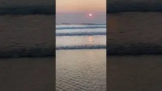 Hourtin plage - August 2024