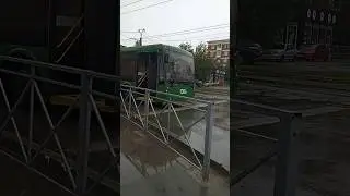13 закрывает двери #новосибирск #транспорт