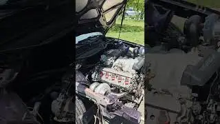 Twin Turbo V10 Station Wagon