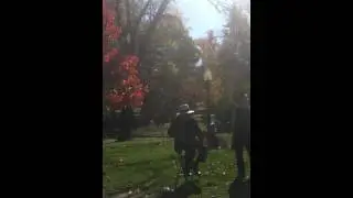 funny shit