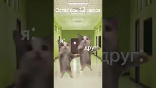 100 лет или 1 день??