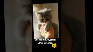 #приют #добро #спасение #тинькофф #помощь +79831072227 #любовь