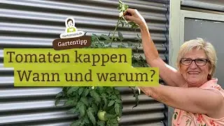 Topping tomatoes - when, how and why?