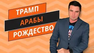 Вопросы выборов | Испорченное Рождество | Ёлка в небе | Нападение аллигатора |