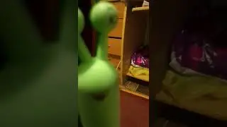 типичный попугай Кеша