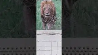 Happy New Month ...