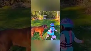 Try not laugh challenge part 4 #funnyshorts #funny #laughingchallenge