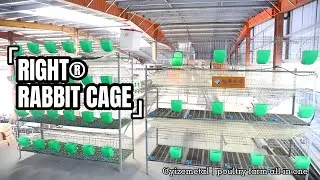 RIGHT® RABBIT CAGE 2022