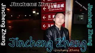 Jincheng Zhang - Senior (Instrumental Version) (Background Music) (Official Audio)