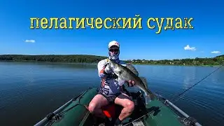 Судак в жару. Пелагический судак. СЛАГИ РВУТ ШАБЛОНЫ!