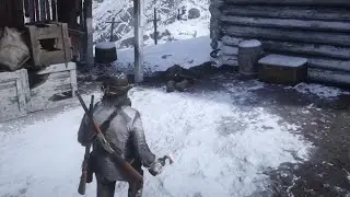 Everyone should do this in RDR2