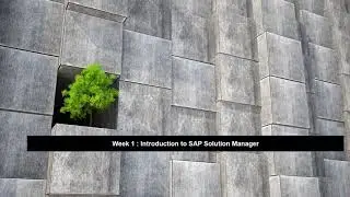 Introduction to SAP Solution Manager
