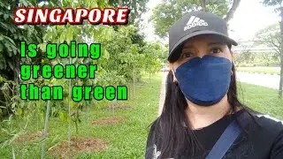 SINGAPORE THE GARDEN CITY OR CITY IN THE GARDEN | STREET WALKING TOUR IN THE CITY AND LOOK AROUND