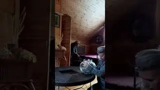 Душа во всём