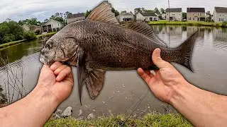 Fishing Neighborhood TIDAL POND For DRUM