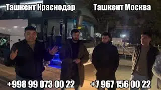 Ташкент Краснодар автобус, Ташкент Москва автобус, Краснодар Ташкент автобус, Ташкент Новосибирск
