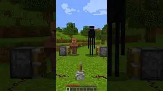 Villager + All Minecraft Mob ! 😰 