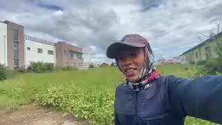 INI BUKAN KEBON