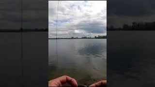 Losing a Fish #bass #fishing #bassfishing