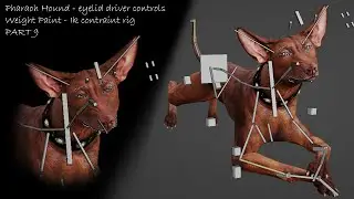 Pharaoh Hound | Dog Canine Armature Skeleton Eye Rigging | Eyelid Driver -Weight Paint - IK Control