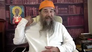 Про кошек и собак дома и в церкви