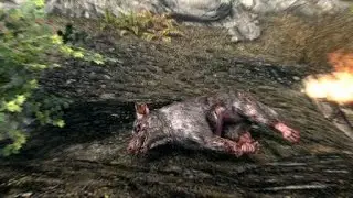 Skyrim - Epic fight scene