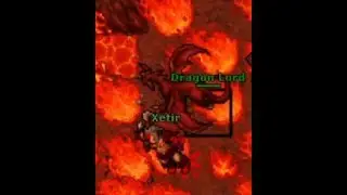 Tibia: DL Poi