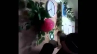 После просмотра фильма Рокки.