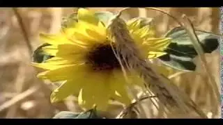 Профессия Агроном