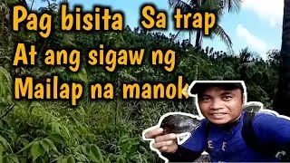Pag bisita sa trap/at ang sigaw ng mailap na labuyo