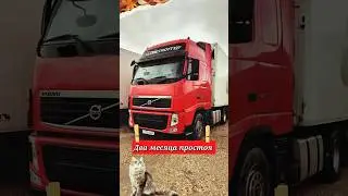 телеграм kambulatof
