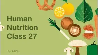 Human Nutrition 27