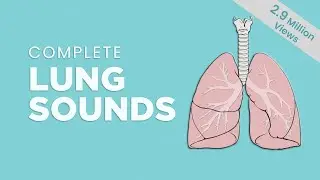Complete Breath sounds: Normal/Abnormal Lung Sounds, Types & Conditions
