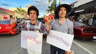 Seizure Machine - Tomatoes and Potatoes (Lyric Video)