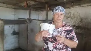 Как избавится от мух Флай Байт Миф или реальность Мое мнение